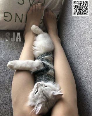 性谎言和录像带