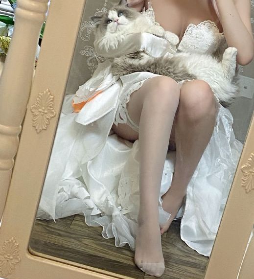 征服在线观看免费全集