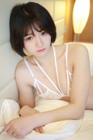 海贼王动漫