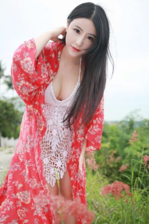 妖精的尾巴国语版