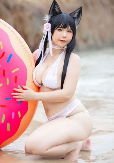 行尸走肉第十三季全集