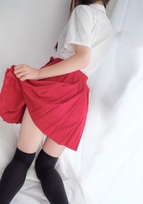 电视剧云之羽
